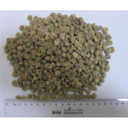 2022 hot sale Brazil Coffee Beans